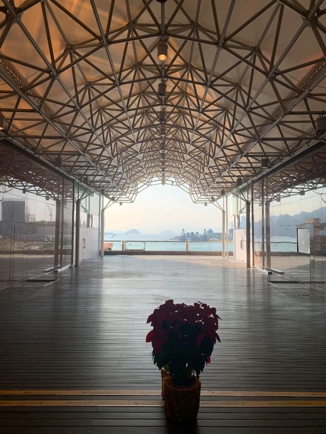 從澳門出發前往香港中港城這個隱藏版打卡點