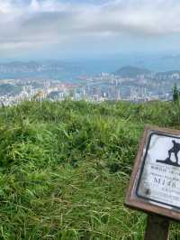 ⛰️香港一日行山天花板！大帽山+麥理浩徑8段神仙路線攻略！
