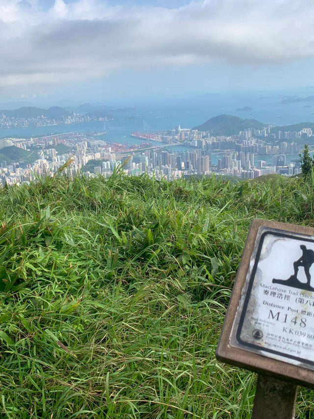⛰️香港一日行山天花板！大帽山+麥理浩徑8段神仙路線攻略！