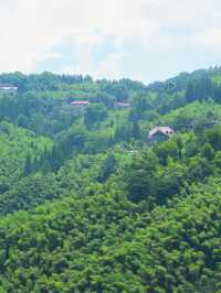 江浙滬旅遊人少景美非莫干山莫屬！！