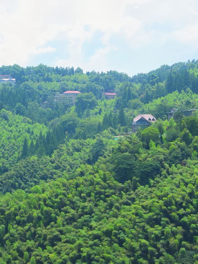 江浙滬旅遊人少景美非莫干山莫屬！！