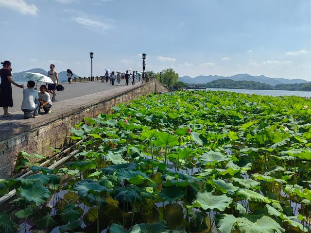 西湖
