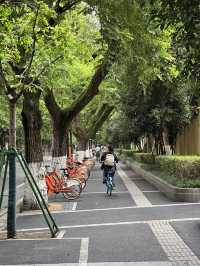 Nanjing 2 Days Travel Guide 
