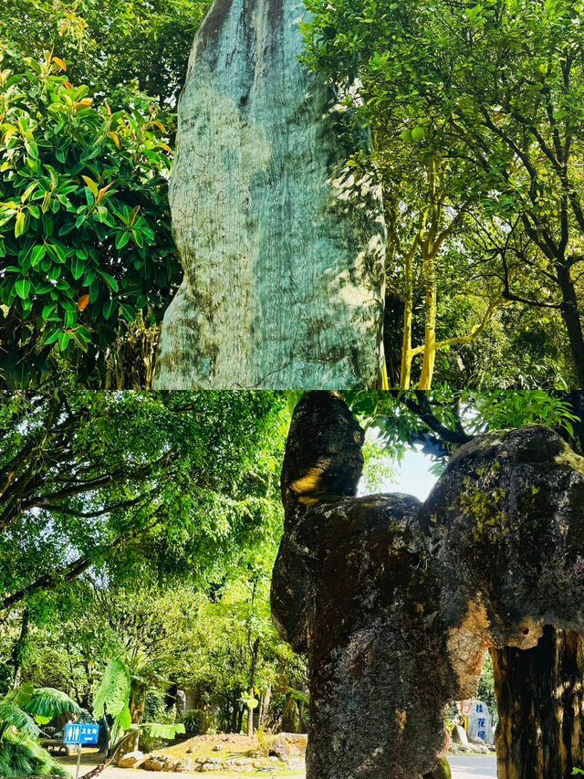 邂逅芒市｜解鎖小眾秘境，開啟美食與風情之旅