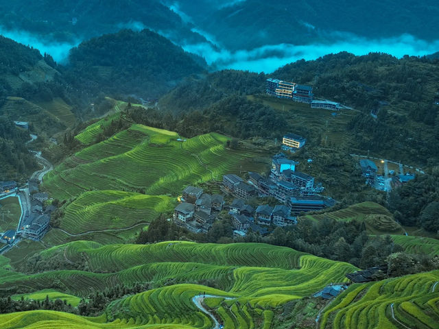 夏日闖進龍脊梯田，邂逅現實版綠野仙蹤