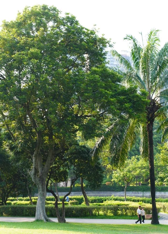 廈門集美學村漫遊指南 | 住錦江之星，邂逅夏日美好   想逃離城市喧囂，來一場輕鬆愜意的短途遊？