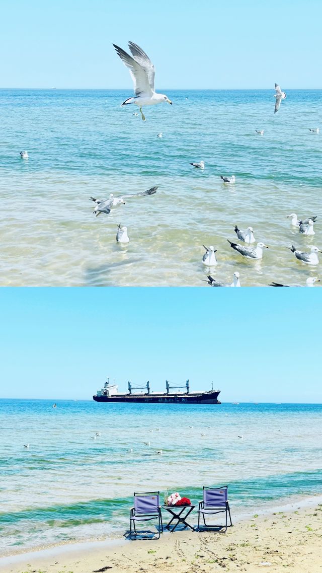 山海之約我如期而至