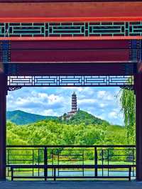 【北塢公園】漫步稻浪與古橋間