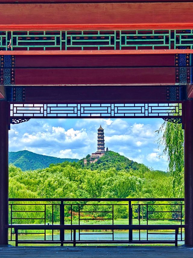 【北塢公園】漫步稻浪與古橋間