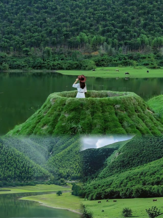 喺安吉，朋友圈問到癲晒都以為我去咗瑞士！