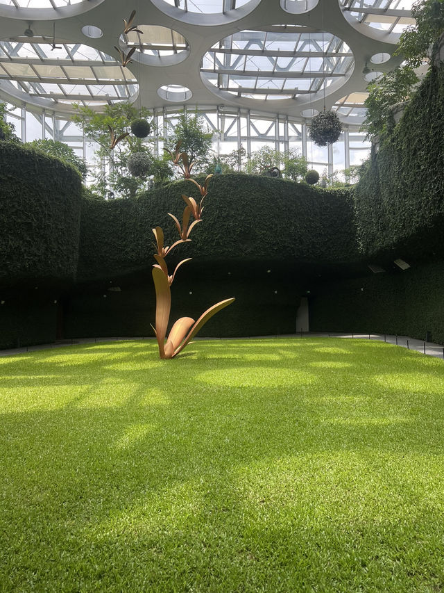 Discover the Beauty of Shanghai Greenhouse Garden! 🌼