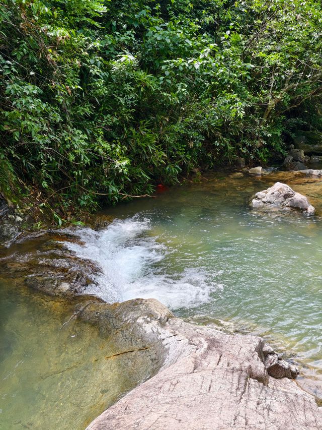 寧波秘境虹嶺古道·綠野仙蹤般的溯溪天堂