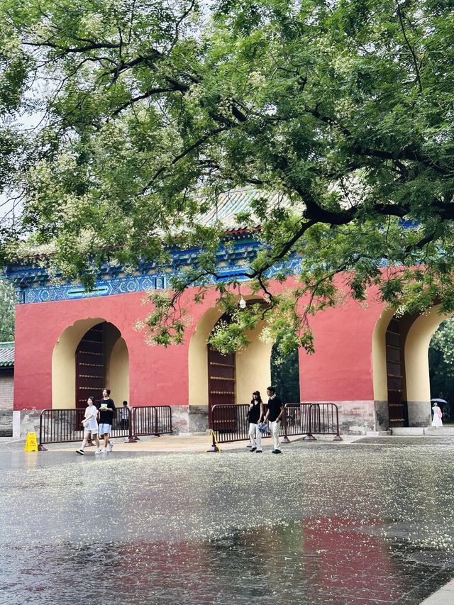 雨中天壇的詩意與夏日浪漫
