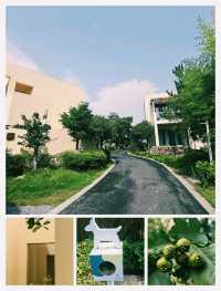 躲進山野享受慢時光~長興花間堂·沂水