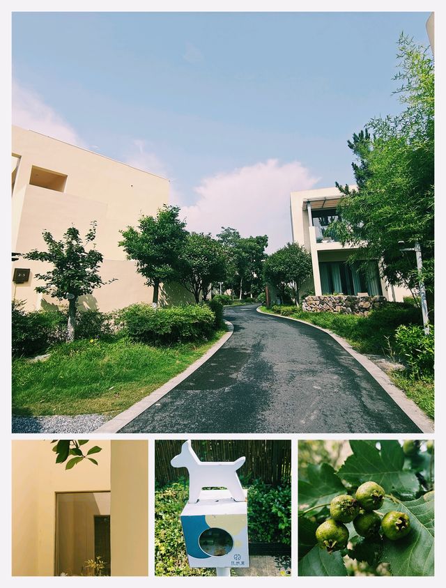 躲進山野享受慢時光~長興花間堂·沂水
