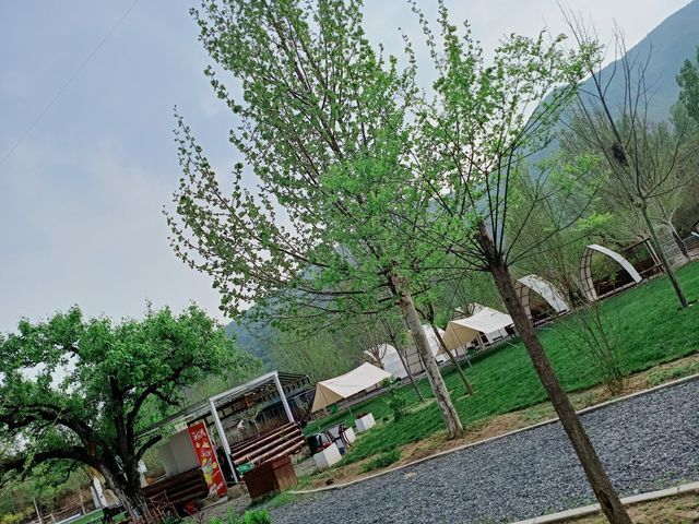 週末嚟郊遊啦，復活節快樂