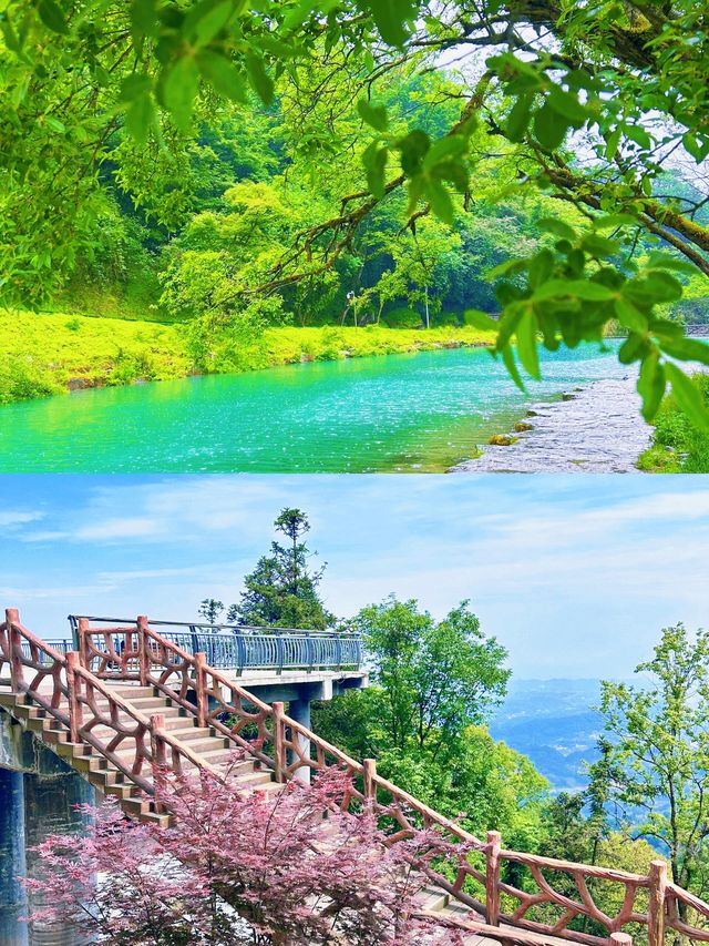 離太陽最近嘅山！喺蒙頂之巔，睇一場雲海托日嘅視覺盛宴！