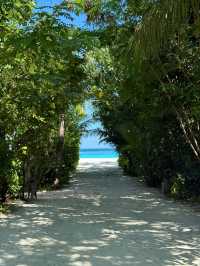 Wonderful Stay at Hilton Maldives Amingiri