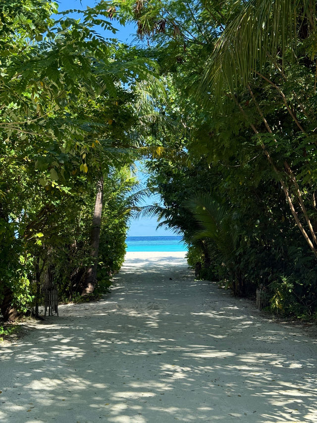 Wonderful Stay at Hilton Maldives Amingiri