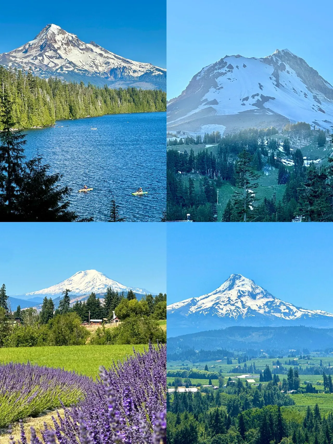 Hood and Adams: The Ice Paradox of the Twin Cascade Volcanoes