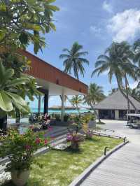 Comfortable Villas and Delicious Dining Experience