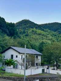 莫干山聽澗民宿|帶娃來山裡避暑