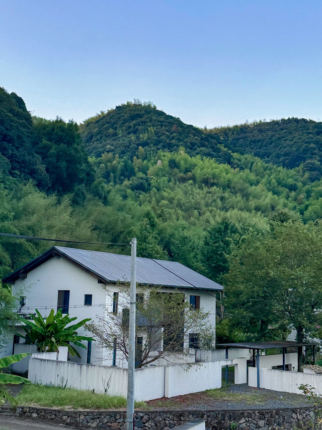 莫干山聽澗民宿|帶娃來山裡避暑 莫干山聽澗民宿|帶娃來山裡避暑