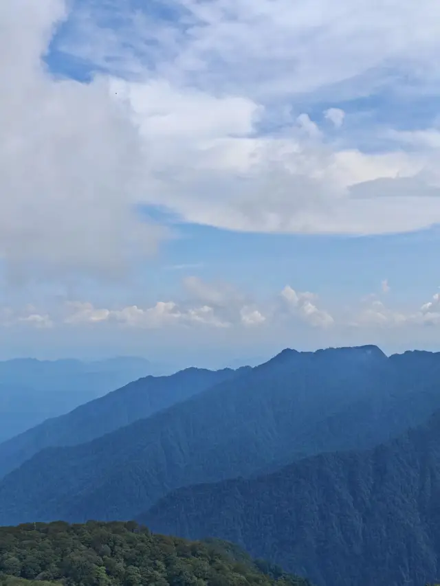 Guizhou Fanjing Mountain One-Day Tour