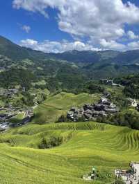 龍脊梯田｜10月迎接金色海浪全攻略