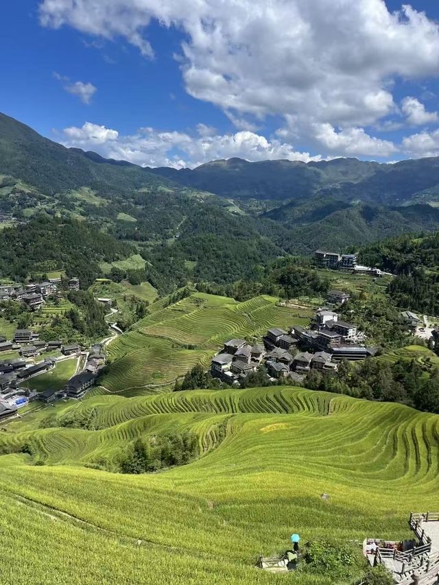 龍脊梯田｜10月迎接金色海浪全攻略