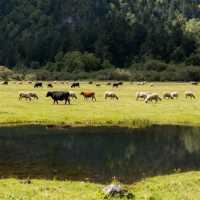 藏在北緯30°的雲端秘境!馬里冷舊全攻略