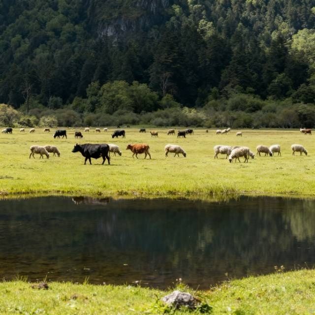 藏在北緯30°的雲端秘境!馬里冷舊全攻略 藏在北緯30°的雲端秘境!馬里冷舊全攻略