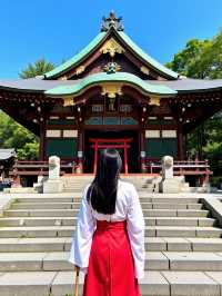 日本日光紅葉季封神了！錯過要再等一年