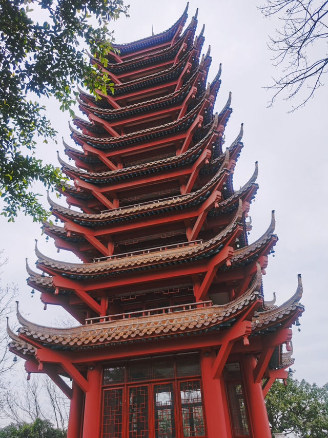 重慶照母山森林公園:山城之上的自然詩篇 重慶照母山森林公園:山城之上的自然詩篇