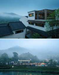 閨蜜局必囤！大樂之野是我永遠的治癒天花板