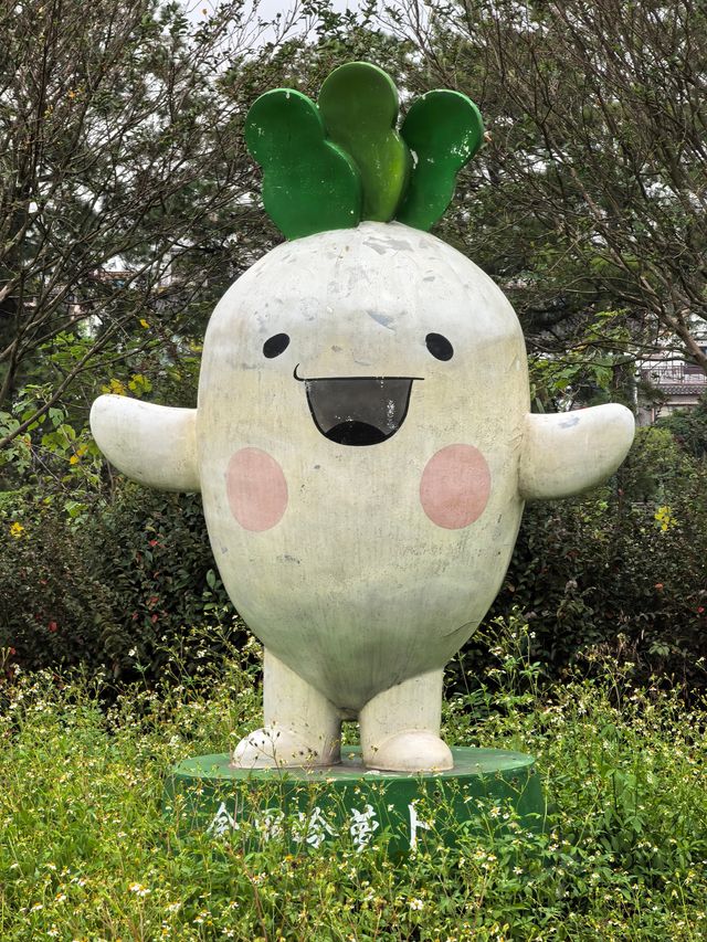 到盛產雞蘿蔔的金甲嶺尋秋