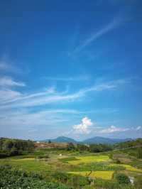 天台秘境：綠野仙蹤，在山脊的褶皺裡，與雲霧對