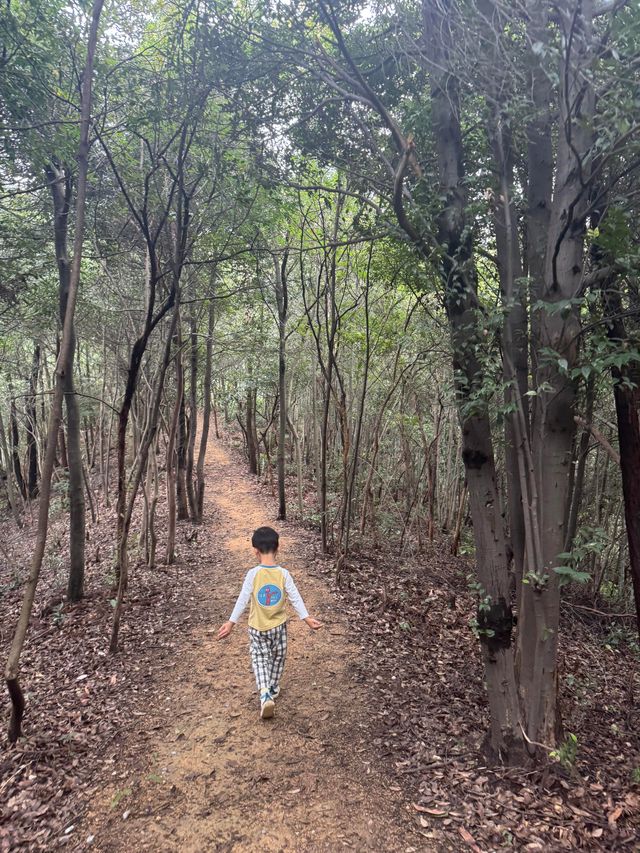 野放的一家|青山村徒步
