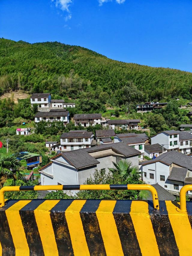 山水有靈，歲月含情：一場與自然的詩意相逢