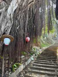 慈恩寺森林公園，康平兩天一宿旅遊一用攻略