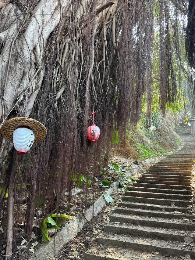 慈恩寺森林公園，康平兩天一宿旅遊一用攻略