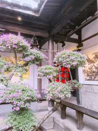 福州必看！"三象合一"石齊藝術展驚豔三坊七巷