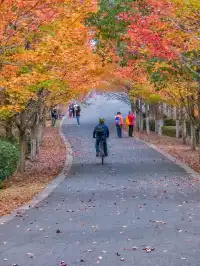 武漢賞秋分享個江夏小眾徒步賞秋地