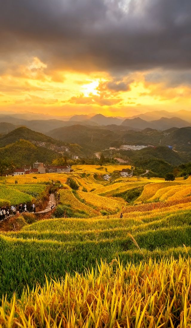 #天台山秋意濃度攀升  #天台山攻略 #禪意生活 #江浙滬周邊遊 #小眾旅行地  天台山旅行筆記 