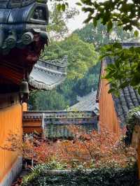 天台山秋色太絕了！這個11月必打卡的寶藏地