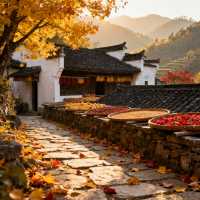 婺源4天3晚人均2500元邂逅油畫秋天