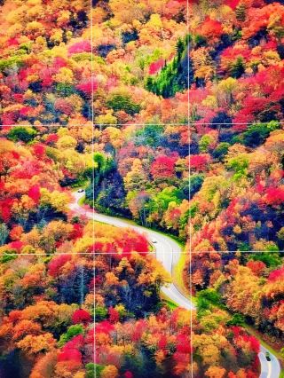 Self-driving in Qinling to Enjoy the Ultimate Autumn Scenery