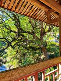 泰順毓文橋在浙南山水間邂逅清代廊橋遺夢