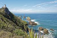 秋日限定澳新連遊攻略 速碼