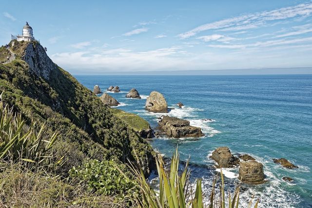 秋日限定澳新連遊攻略 速碼